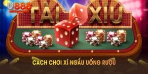 Cách chơi xí ngầu uống rượu