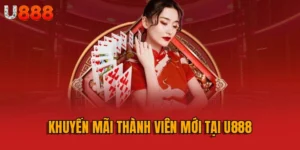 Khuyến mãi thành viên mới